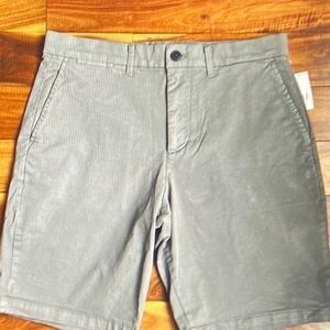 GAP Gray Flat Front Men Shorts